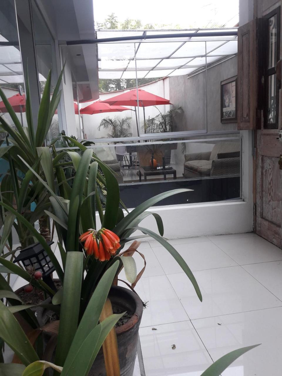 Laelia Miraflores 2* Lima